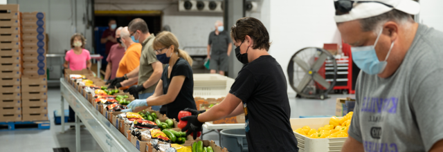 Volunteers prepare boxes of vegetables and fruits to distribute to people experiencing hunger in Canada. (图片来源:加拿大食品银行)